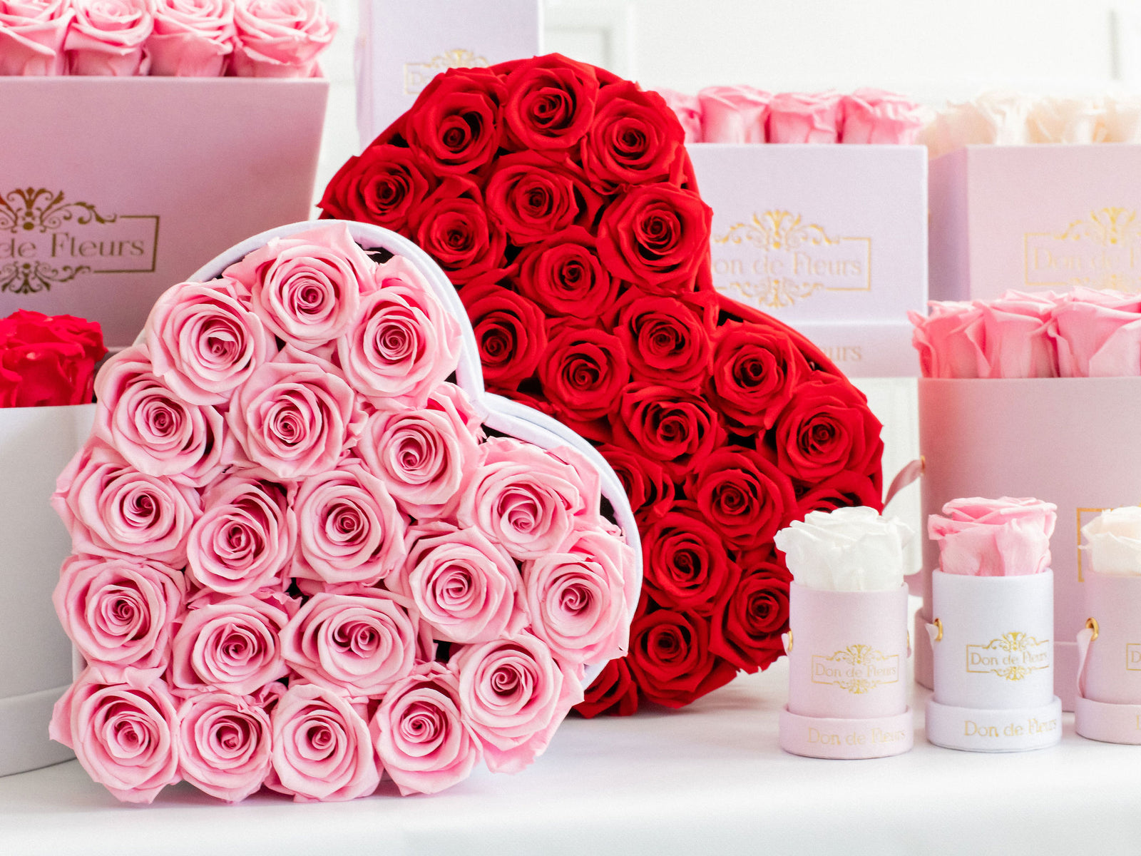 Valentine's Day Favorites