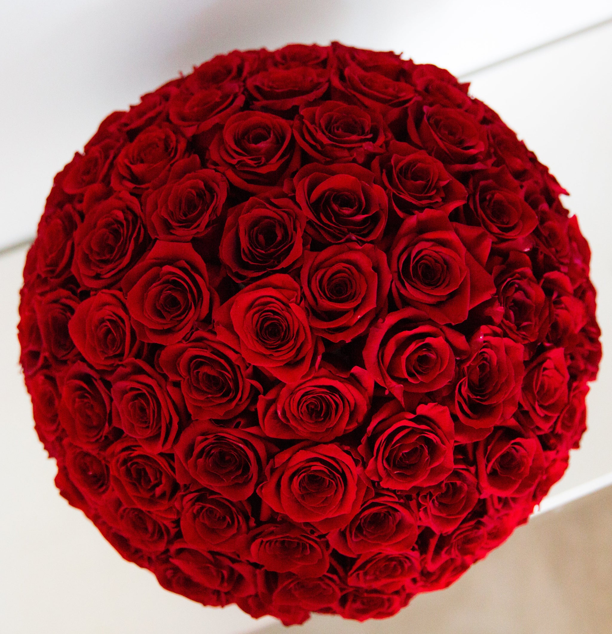 Dôme de Fleurs Preserved Rose Box - Don de Fleurs