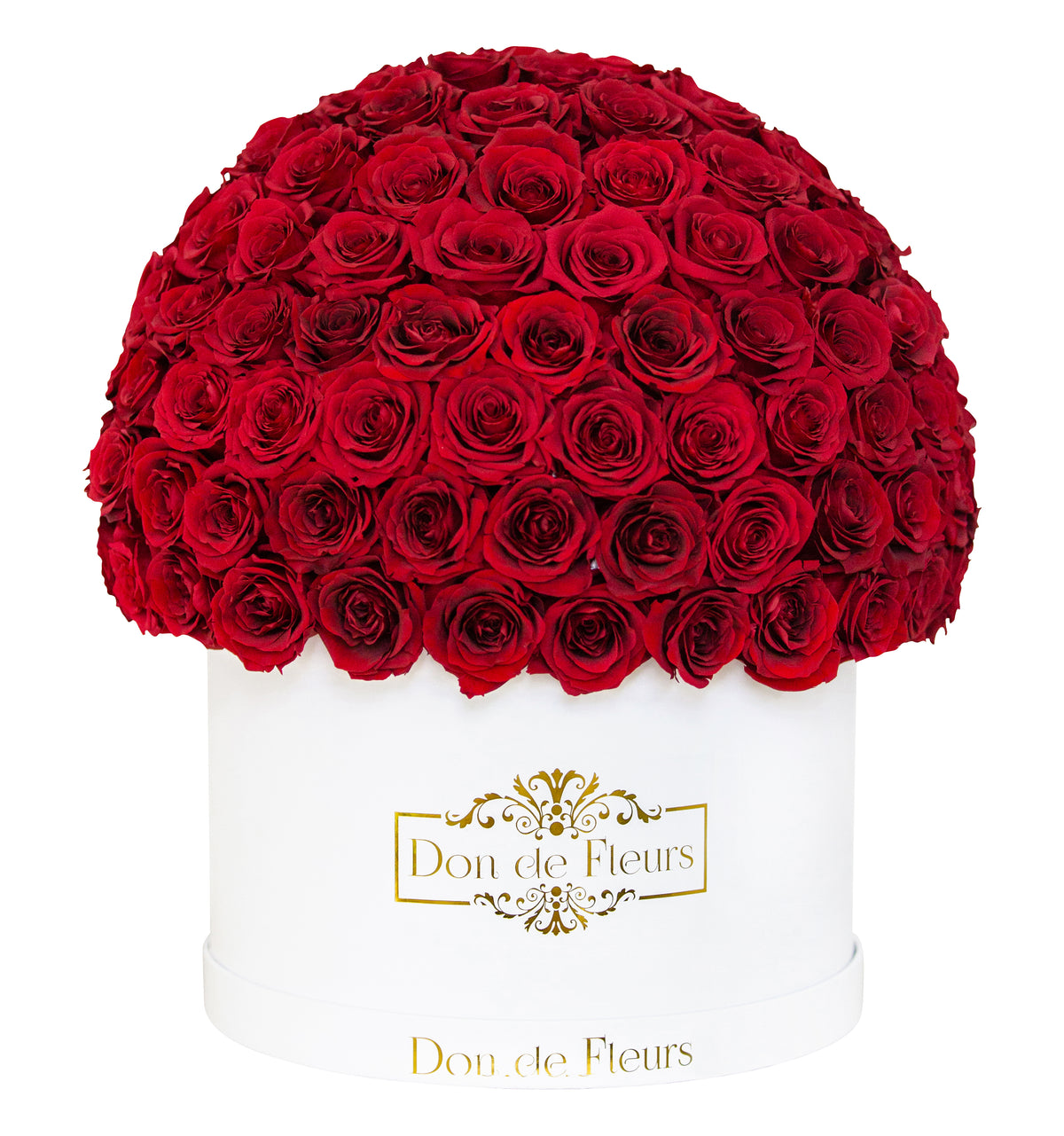 Dôme de Fleurs Preserved Rose Box